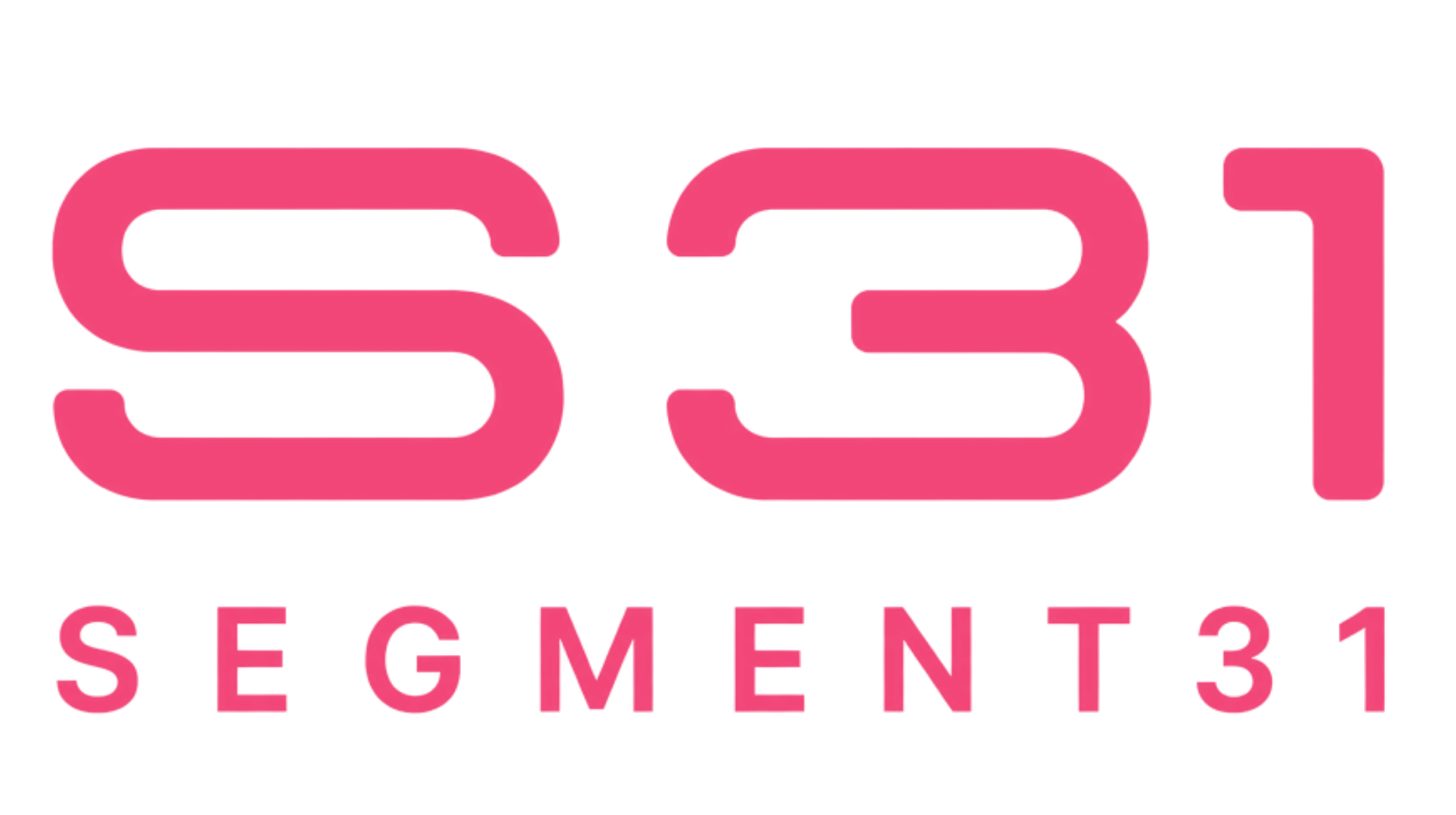 Segment31