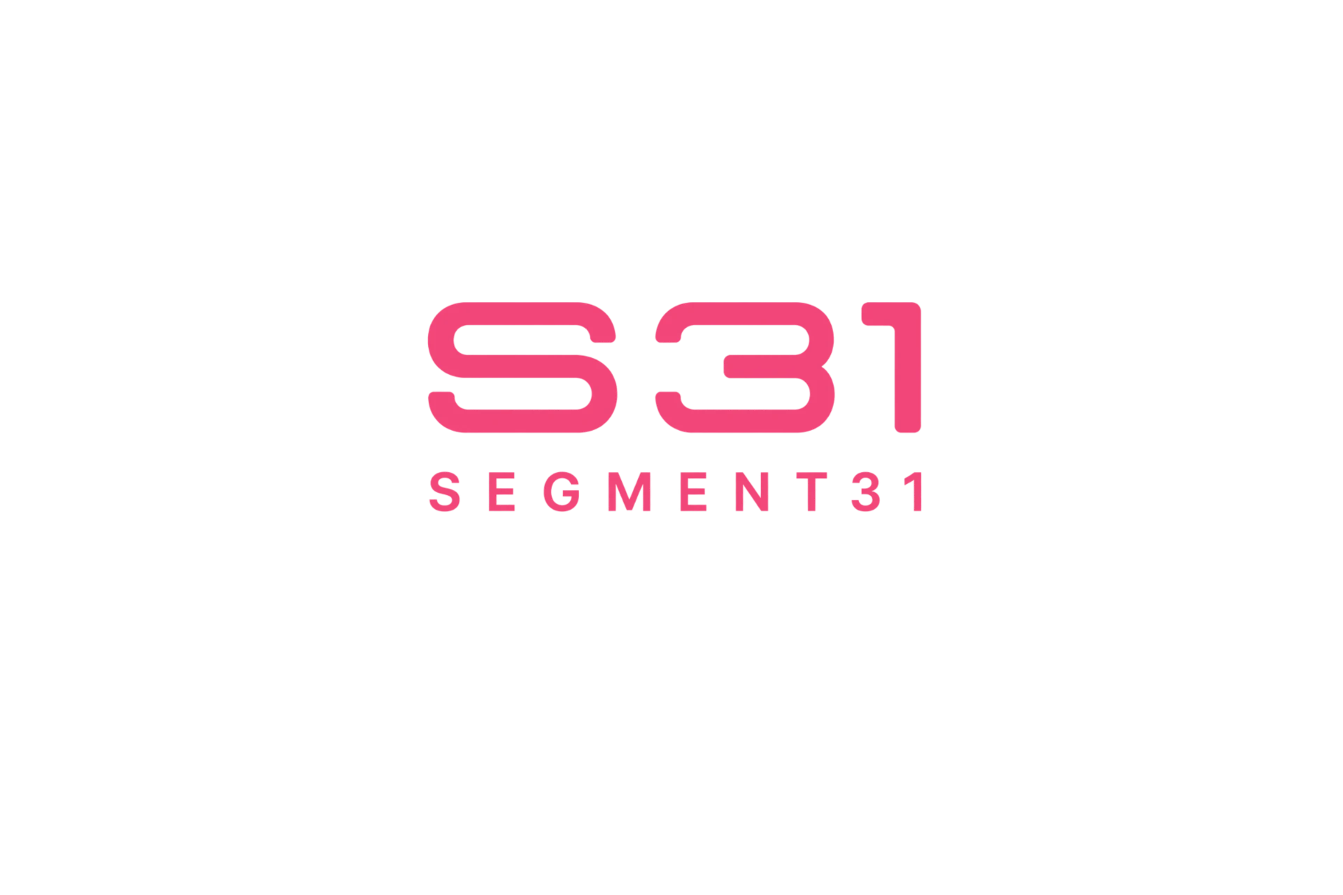 Segment31